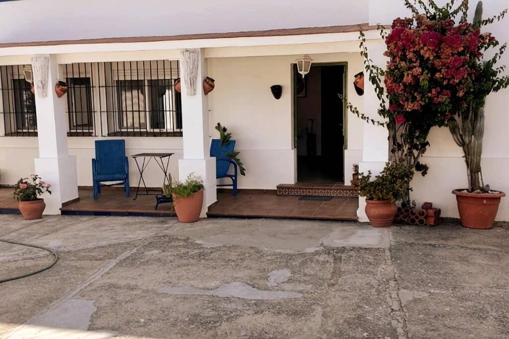 Sagrado Corazon - Chalet Con Piscina, A 25M Playa Sanlúcar de Barrameda Kültér fotó